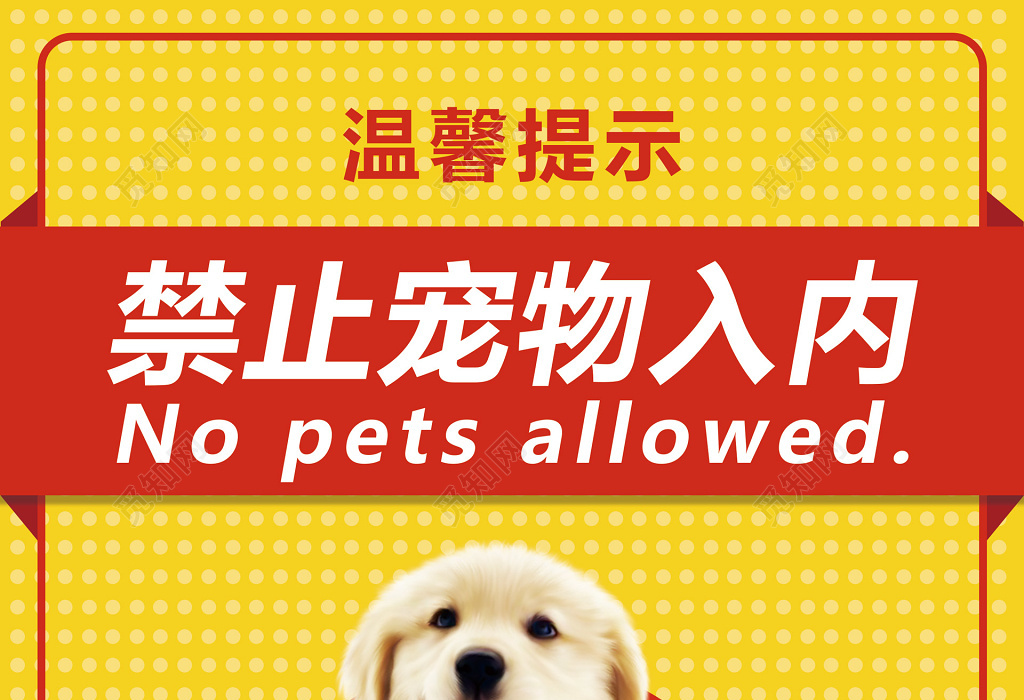 黄色圆点背景禁止宠物入内宠物海报