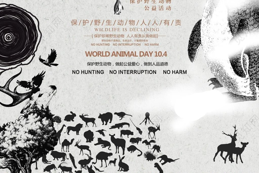 黑白保护濒临野生动物宣传海报