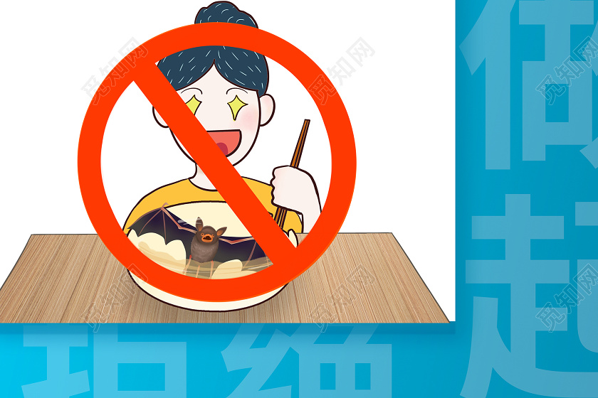 简约大气拒绝野味从我做起保护动物禁止贩卖野生动物公益海报