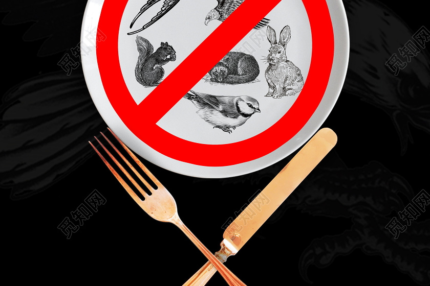 拒绝食用野味保护野生动物海报