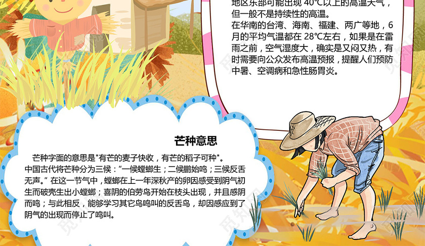 卡通二十四节气芒种节气丰收麦子收获手抄报